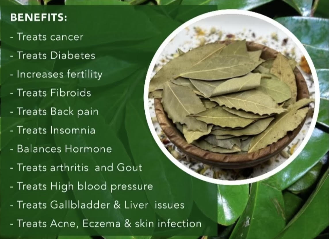 100% Organic Soursop Leaves